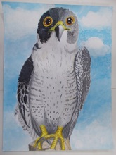 動物園賞の作品