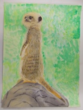 動物園賞の作品