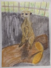 動物園賞の作品