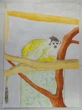 動物園賞の作品