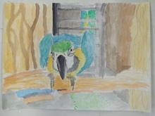 写真：動物園賞の作品