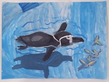 写真：動物園賞の作品