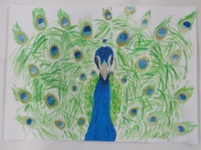 写真：動物園賞の作品