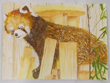 写真：動物園賞の作品