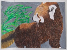 写真：動物園賞の作品