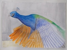 写真：動物園賞の作品