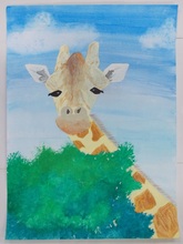 写真：動物園賞の作品