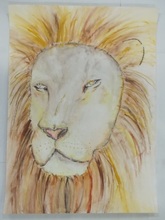 写真：動物園賞の作品