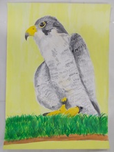 写真：動物園賞の作品