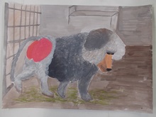 写真：動物園賞の作品