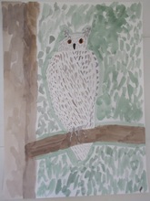 写真：動物園賞の作品