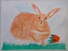 写真：動物園賞の作品