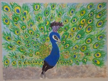 写真：銅賞の作品