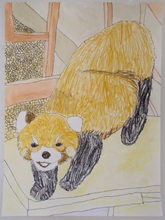 写真：動物園賞の作品