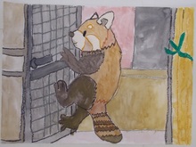 写真：動物園賞の作品