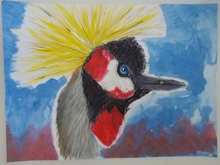 写真：動物園賞の作品