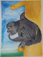 写真：動物園賞の作品