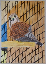 写真：動物園賞の作品