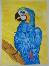 写真：動物園賞の作品