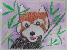 写真：動物園賞の作品