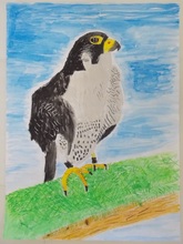 写真：動物園賞の作品