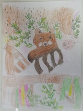 写真：動物園賞の作品