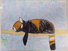 写真：動物園賞の作品