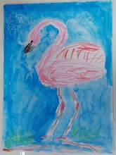 写真：動物園賞の作品