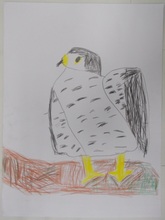 写真：動物園賞の作品