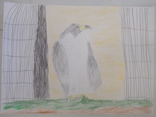 写真：動物園賞の作品