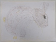 写真：動物園賞の作品