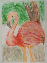 写真：動物園賞の作品