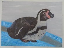 写真：動物園賞の作品