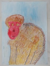 写真：動物園賞の作品