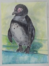 写真：動物園賞の作品