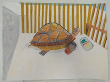 写真：動物園賞の作品