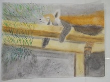 写真：動物園賞