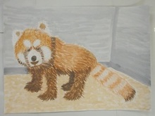 写真：動物園賞の作品