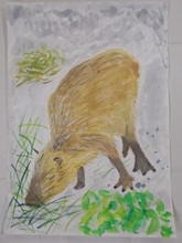 写真：動物園賞の作品