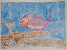 写真：動物園賞の作品