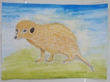 写真：動物園賞の作品