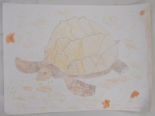 写真：動物園賞の作品