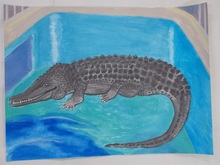 写真：動物園賞の作品