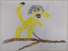 写真：動物園賞の作品