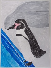 写真：動物園賞の作品