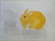 写真：動物園賞の作品