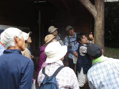 写真:クモの様子を真剣にみる参加者