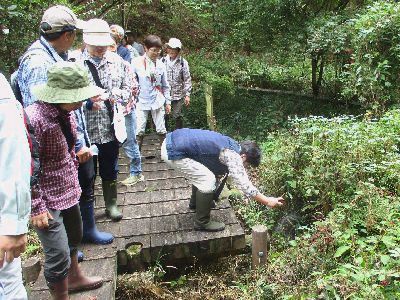 写真:池の木道にて観察