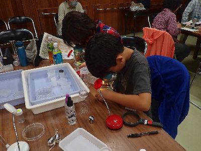 写真:顕微鏡を覗く参加者親子