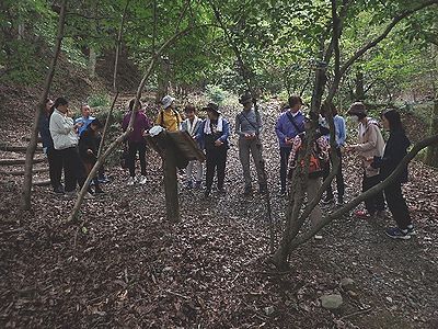 写真：葉っぱをひろって比べっこをする参加者たち